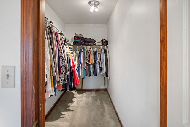 walk in closet featuring carpet floors