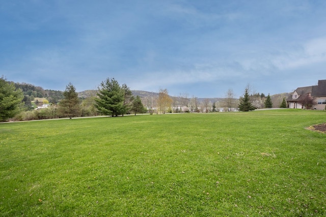 surrounding community with a yard