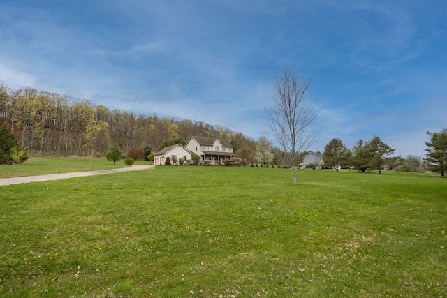 view of yard featuring a forest view