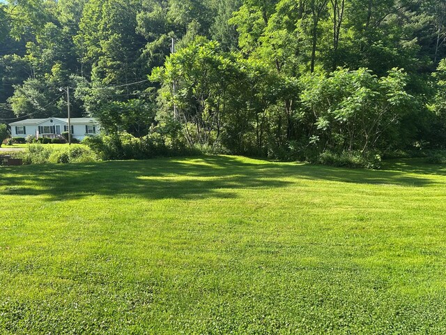 1909 Mill Hill Rd, Roaring Branch, PA 17765 - photo 13