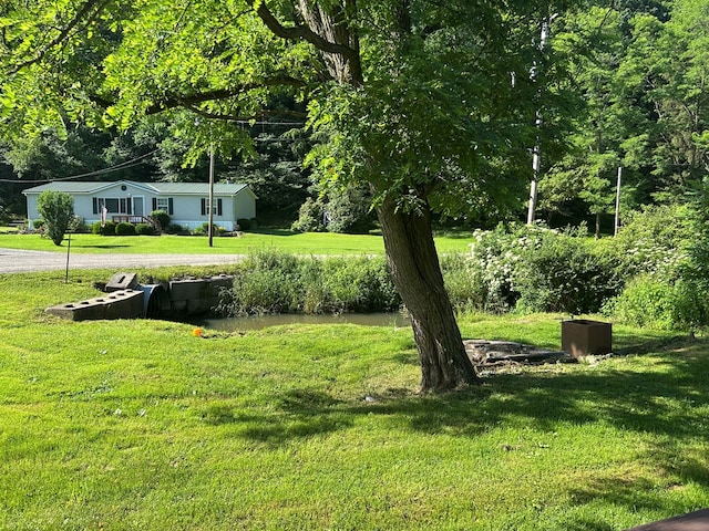 1909 Mill Hill Rd, Roaring Branch, PA 17765 - photo 12