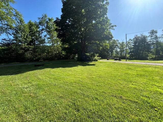 1909 Mill Hill Rd, Roaring Branch, PA 17765 - photo 14