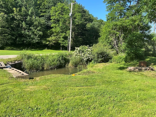 1909 Mill Hill Rd, Roaring Branch, PA 17765 - photo 16