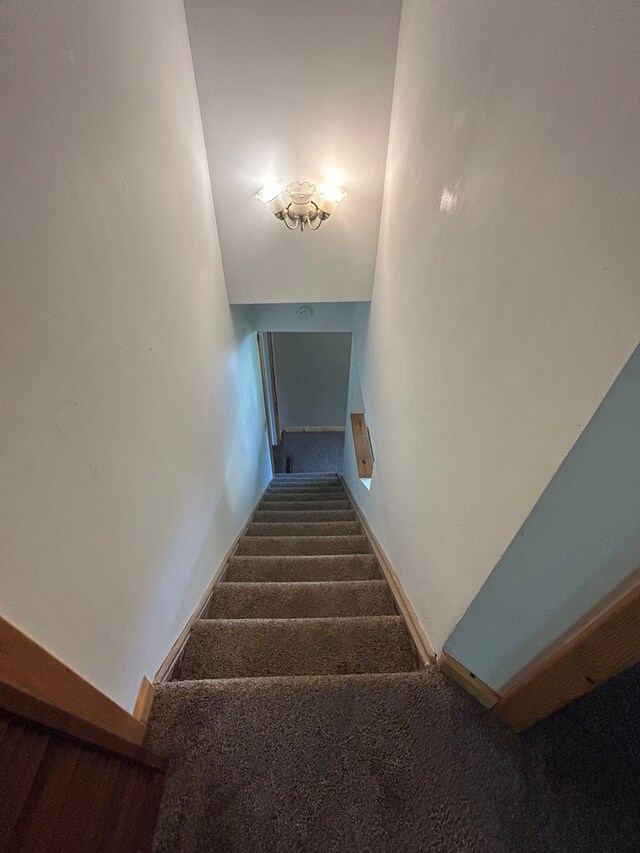 1909 Mill Hill Rd, Roaring Branch, PA 17765 - photo 38