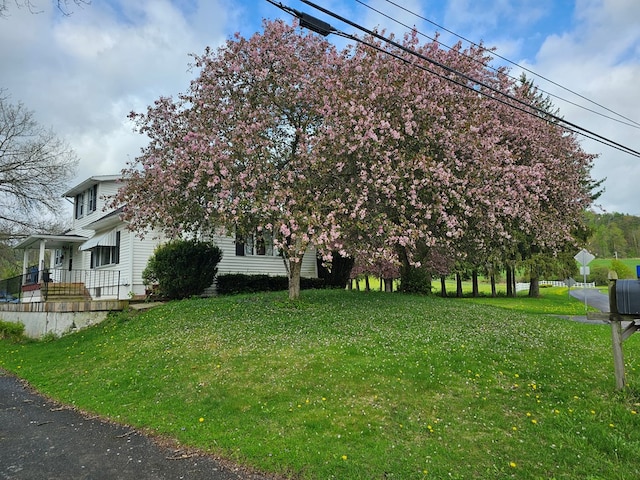 71 Kendrick Rd, Covington, PA 16917 - view of side of home featuring a lawn