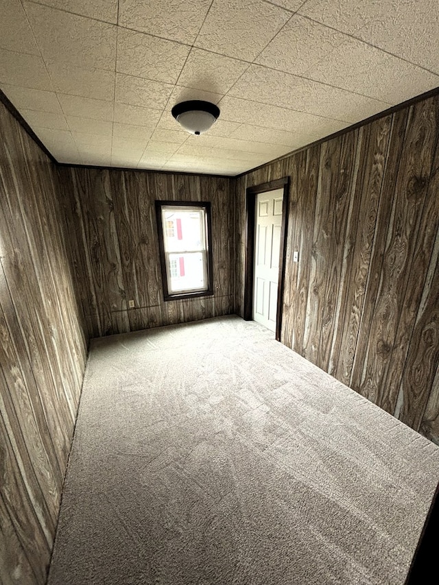 unfurnished room featuring wood walls and carpet floors