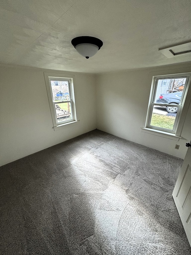 empty room featuring carpet floors and a textured ceiling