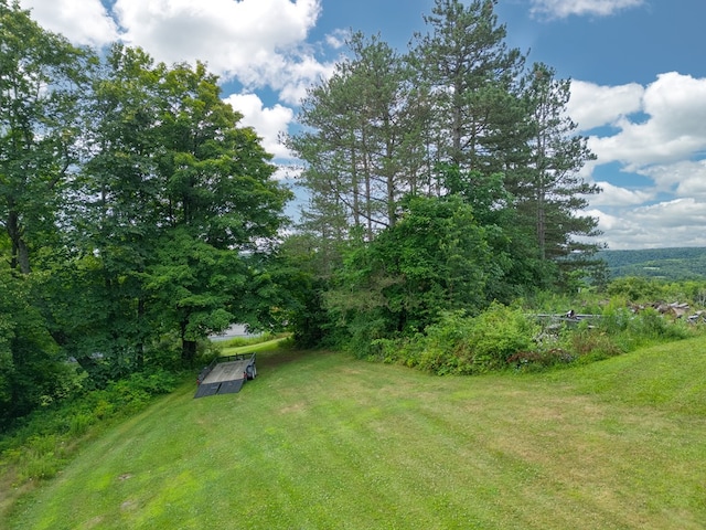 0 Packard Rd, Covington, PA 16917 - photo 27