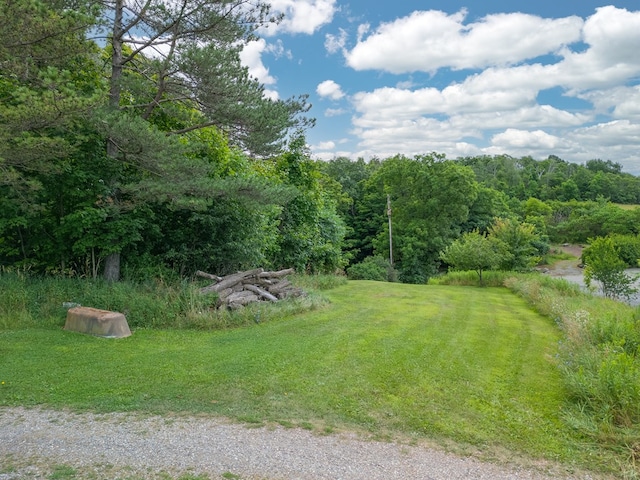 0 Packard Rd, Covington, PA 16917 - photo 24