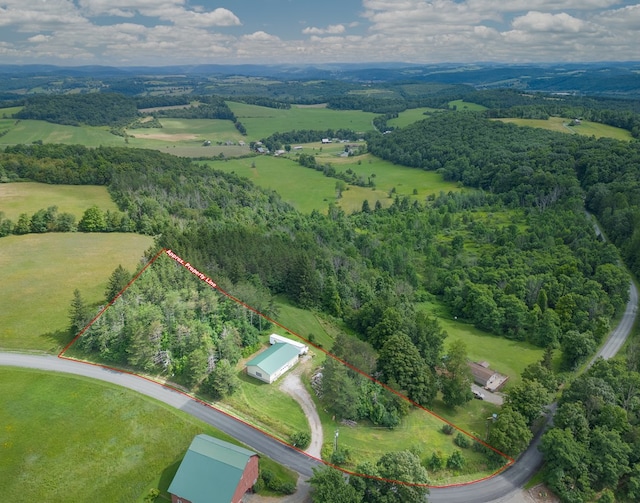 0 Packard Rd, Covington, PA 16917 - photo 3