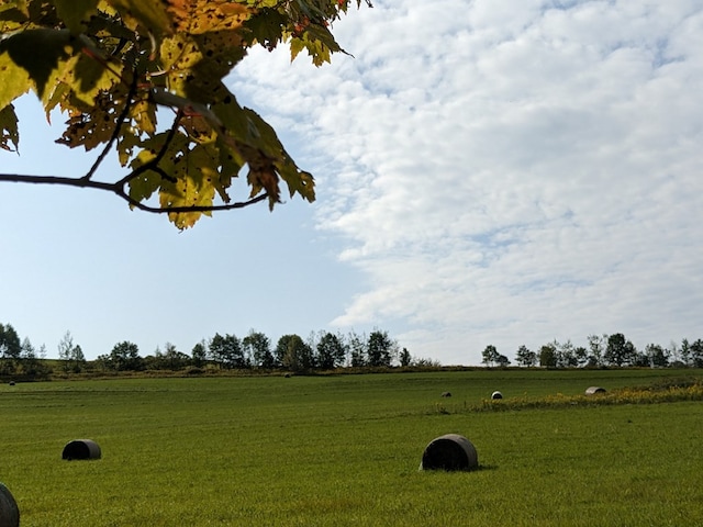 480 Bowers Rd, Coudersport, PA 16915 - view of green lawn with a view of rural / pastoral area