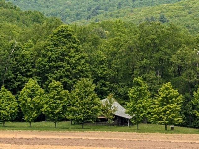 480 Bowers Rd, Coudersport, PA 16915 - view of yard with a wooded view