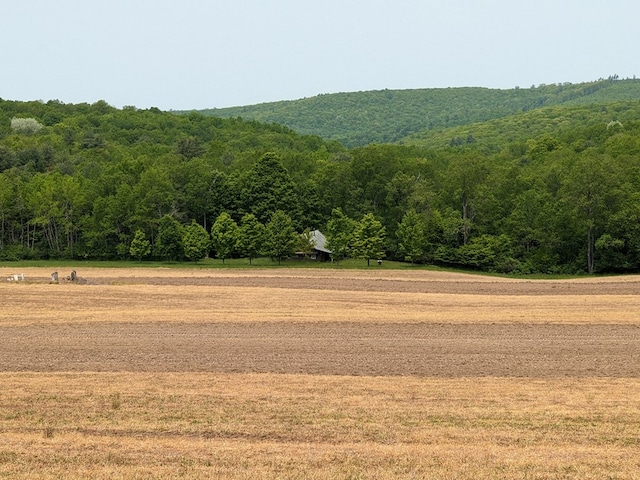 480 Bowers Rd, Coudersport, PA 16915 - view of mountain backdrop featuring a heavily wooded area