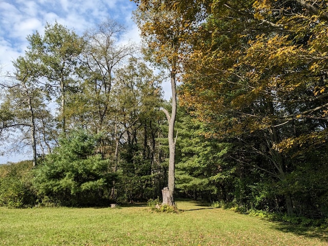 480 Bowers Rd, Coudersport, PA 16915 - view of grassy yard with a forest view