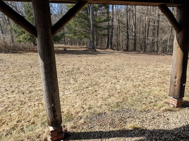480 Bowers Rd, Coudersport, PA 16915 - view of yard