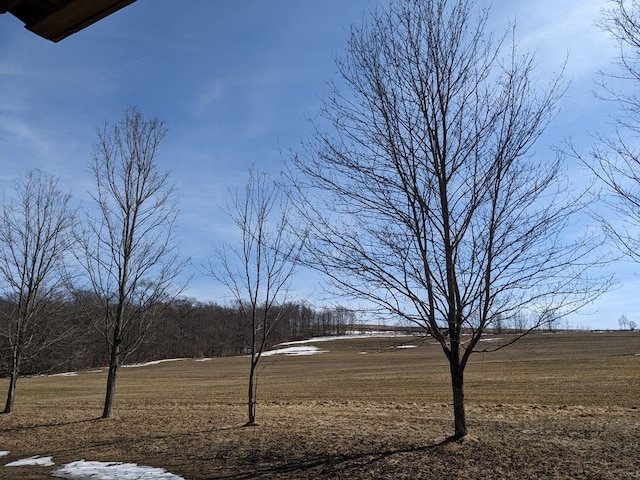 480 Bowers Rd, Coudersport, PA 16915 - view of grassy yard