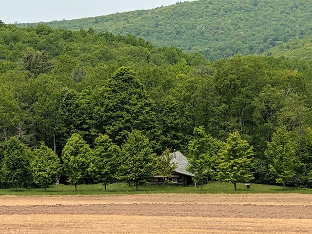 480 Bowers Rd, Coudersport, PA 16915 - view of yard with a view of trees