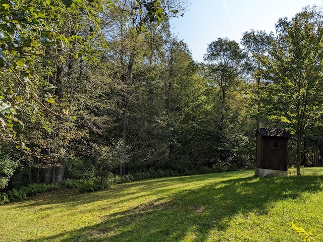 480 Bowers Rd, Coudersport, PA 16915 - view of green lawn featuring a forest view