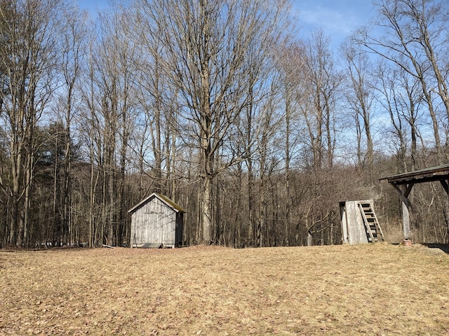 480 Bowers Rd, Coudersport, PA 16915 - view of yard with a shed