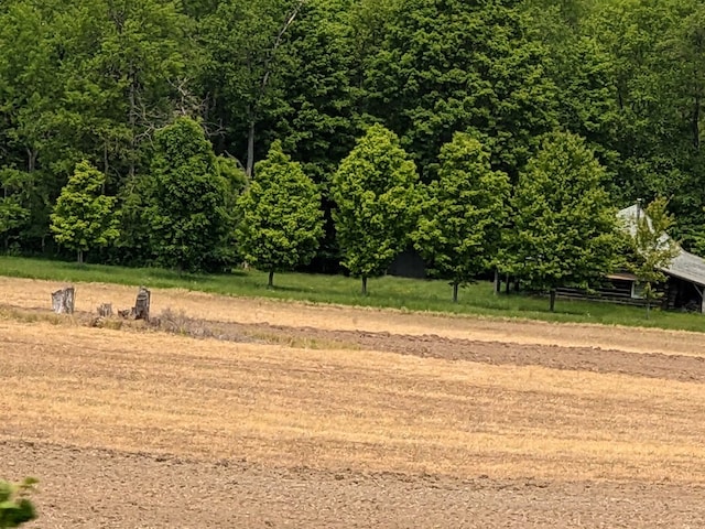 480 Bowers Rd, Coudersport, PA 16915 - view of yard
