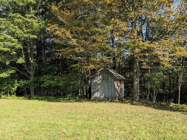 view of yard featuring a storage unit