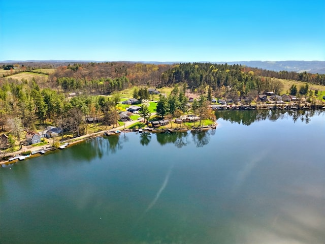 986 Wesauking Dr, Towanda, PA 18848 - aerial overview of property's location with a forest and a large body of water