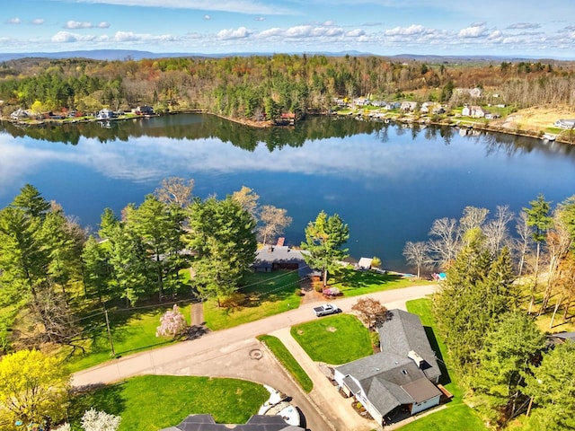 986 Wesauking Dr, Towanda, PA 18848 - bird's eye view of a heavily wooded area and a large body of water