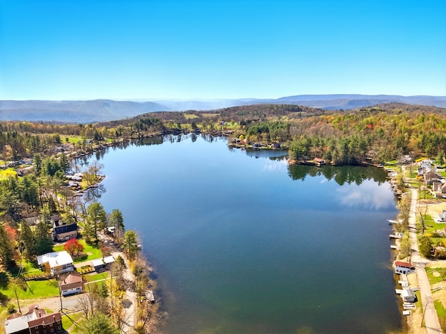 986 Wesauking Dr, Towanda, PA 18848 - bird's eye view of a water and mountain view and a forest
