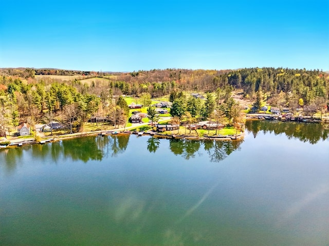 986 Wesauking Dr, Towanda, PA 18848 - water view featuring a heavily wooded area and a dock