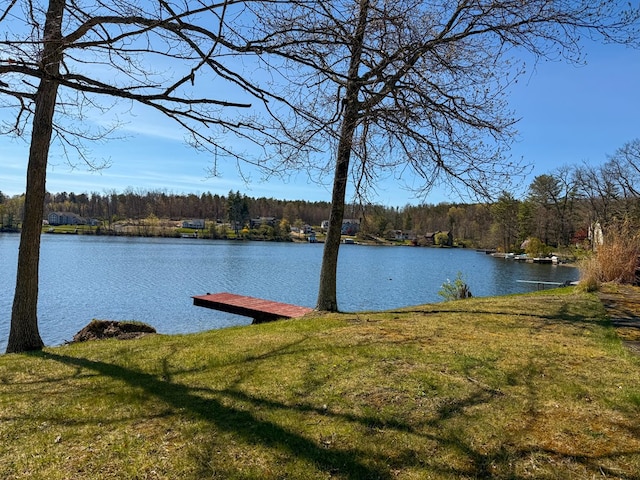 986 Wesauking Dr, Towanda, PA 18848 - water view featuring a forest