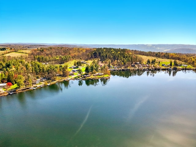 986 Wesauking Dr, Towanda, PA 18848 - water view featuring a forest
