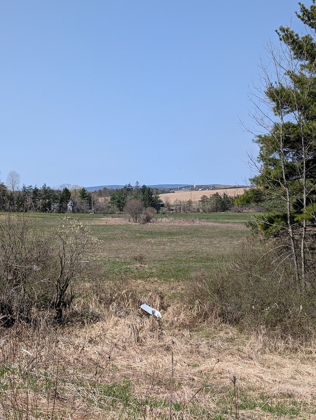 1057 Stony Fork Rd, Wellsboro, PA 16901 - view of landscape with a rural view