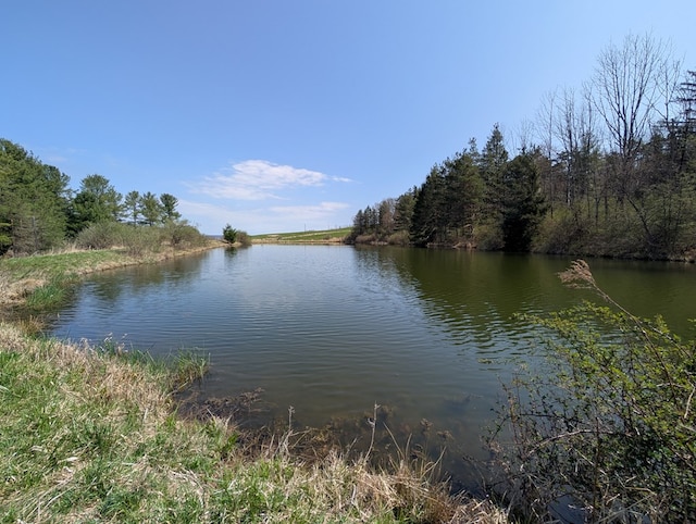 1057 Stony Fork Rd, Wellsboro, PA 16901 - water view with a forest view