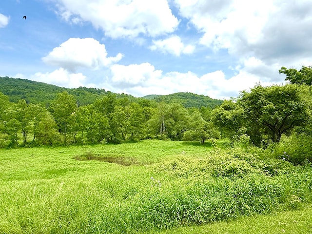 10598 Leetonia Rd, Gaines, PA 16921 - mountain view featuring a heavily wooded area