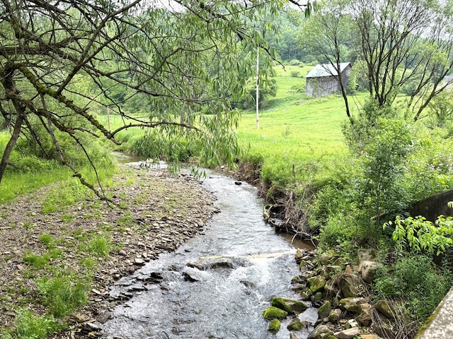 10598 Leetonia Rd, Gaines, PA 16921 - view of yard