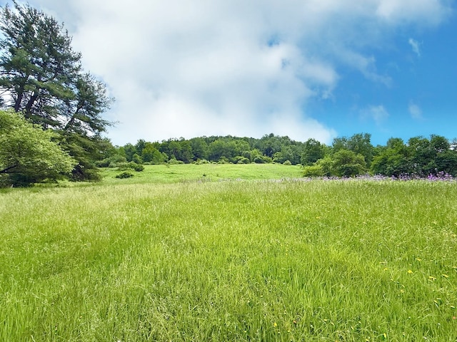10598 Leetonia Rd, Gaines, PA 16921 - view of undeveloped land