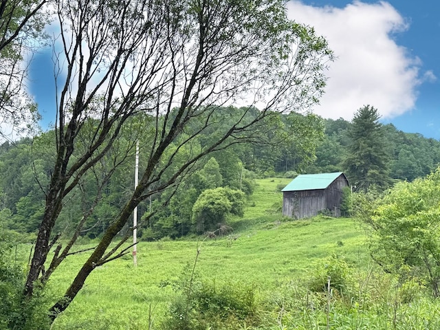 10598 Leetonia Rd, Gaines, PA 16921 - view of yard with an outbuilding and a wooded view