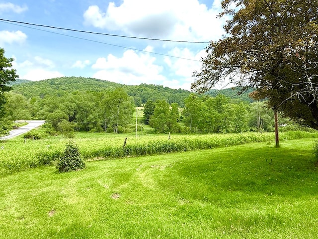 10598 Leetonia Rd, Gaines, PA 16921 - view of yard with a wooded view
