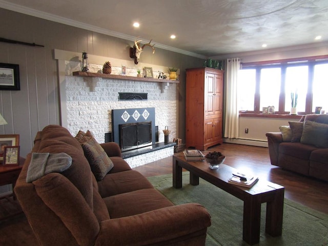 living room featuring dark wood-type flooring, a baseboard radiator, and crown molding