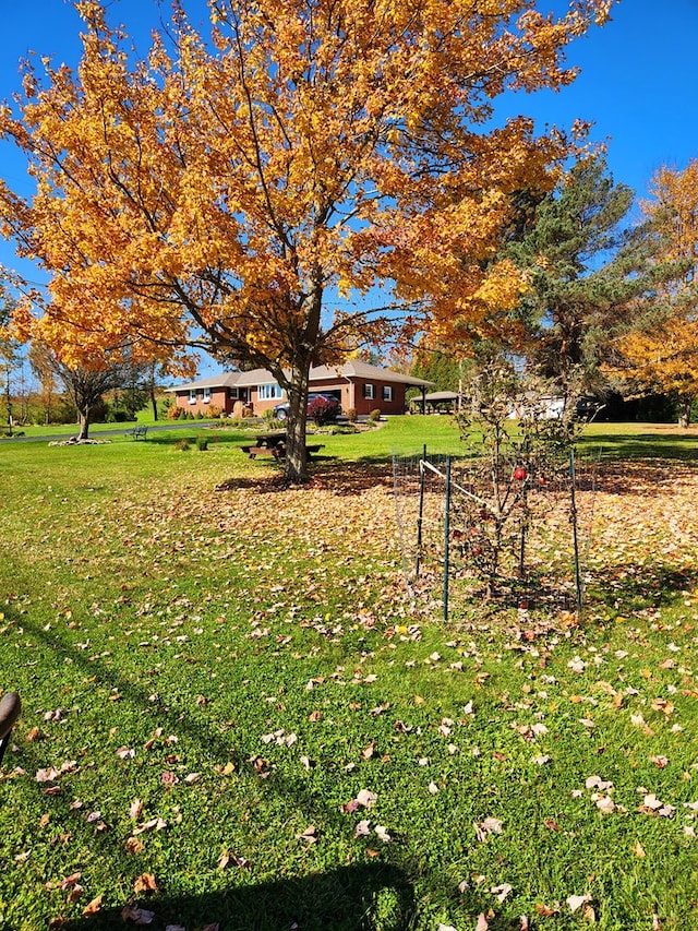 view of yard