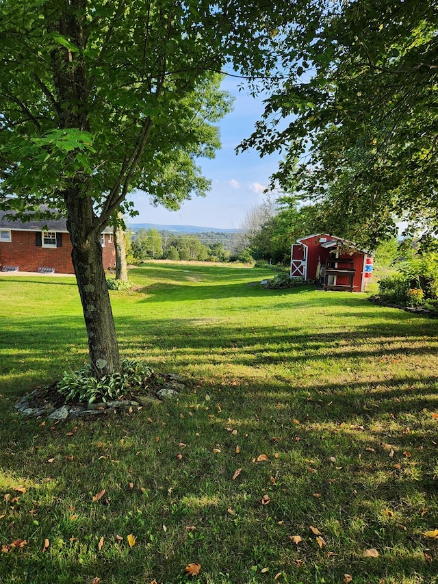 view of yard with a storage unit