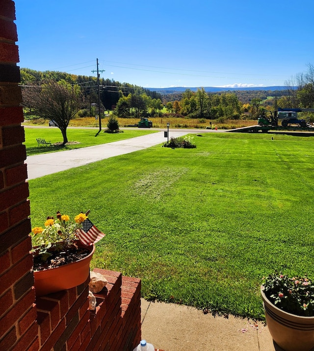 view of yard