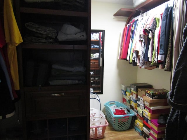 spacious closet with hardwood / wood-style flooring