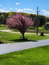 view of home's community with a lawn