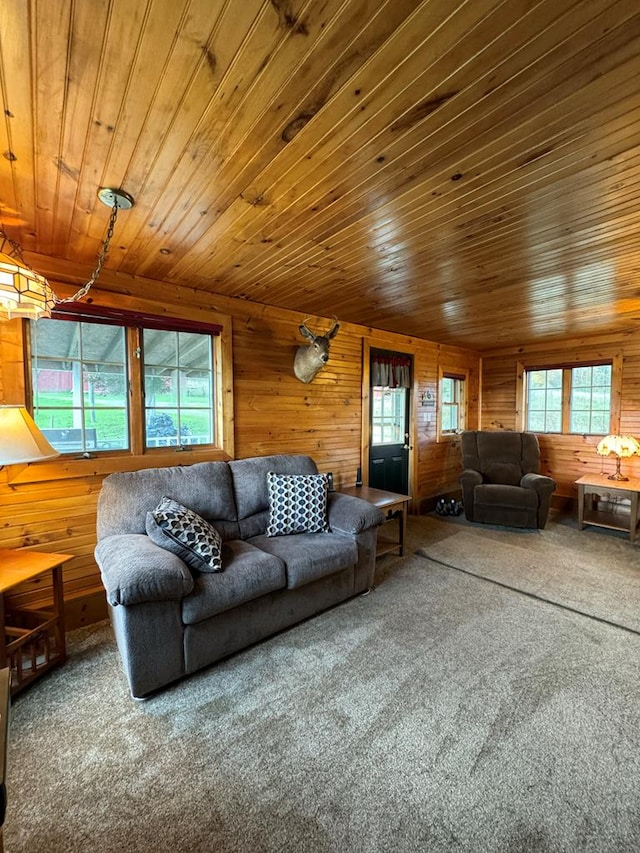 carpeted living room with wooden ceiling and wood walls