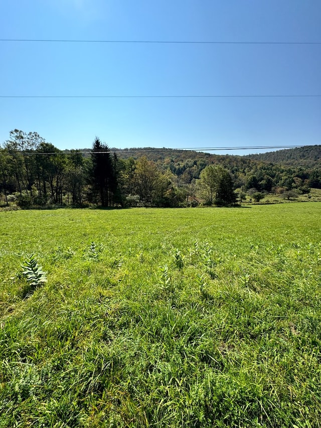 view of yard with a rural view