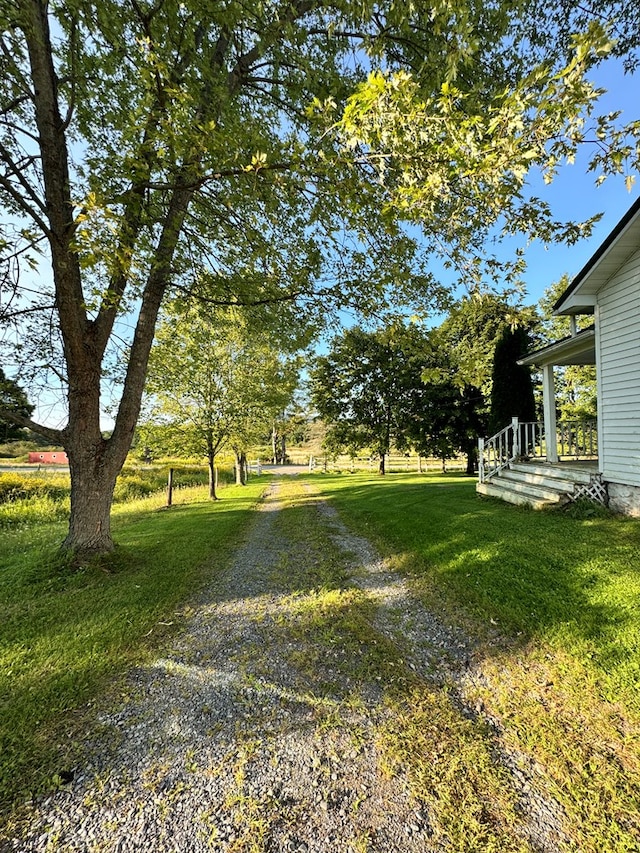 view of yard