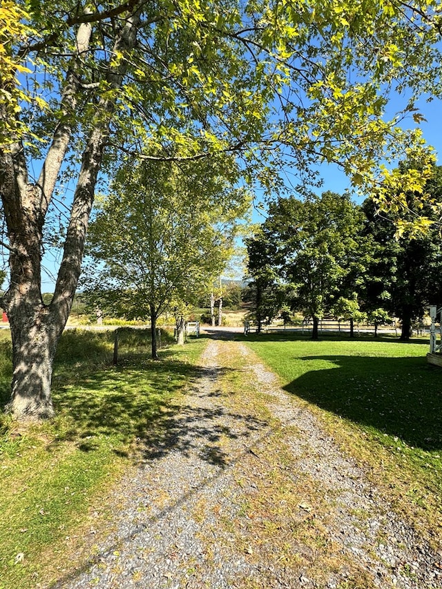 view of street