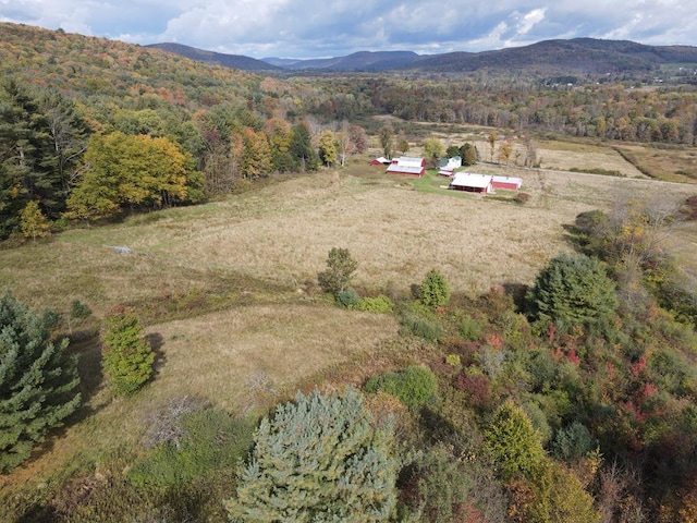 drone / aerial view featuring a mountain view