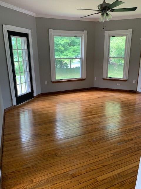 unfurnished room with light wood-type flooring, ceiling fan, and ornamental molding